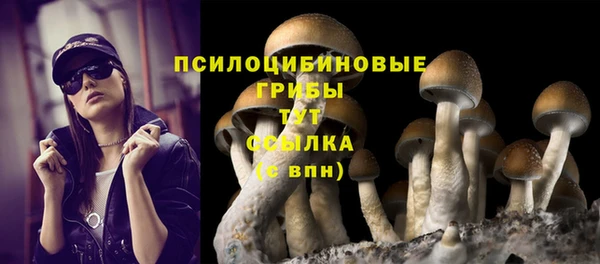 соль курить ск Слюдянка