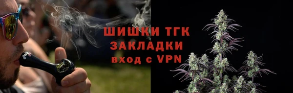 прущие грибы Абдулино