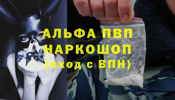прущие грибы Абдулино